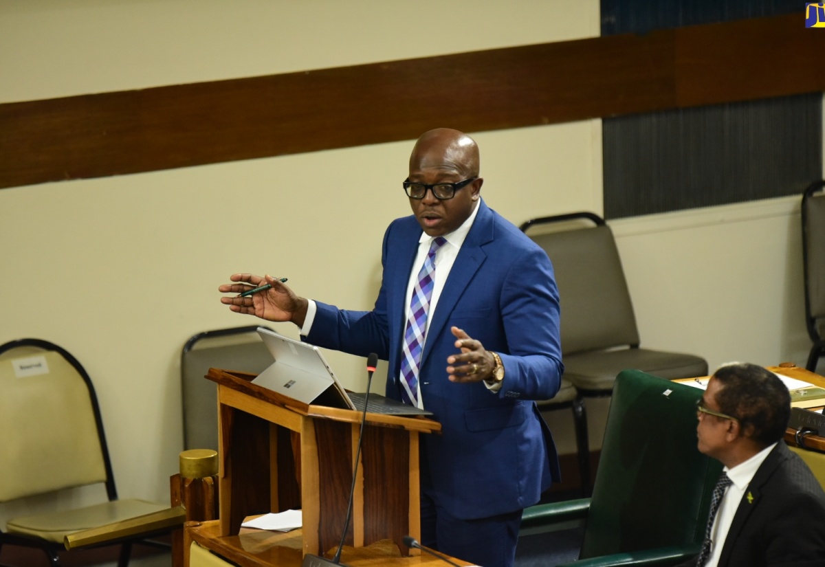 Minister of Labour and Social Security, Hon. Pearnel Charles Jr., speaks in the House of Representatives on December 5.
