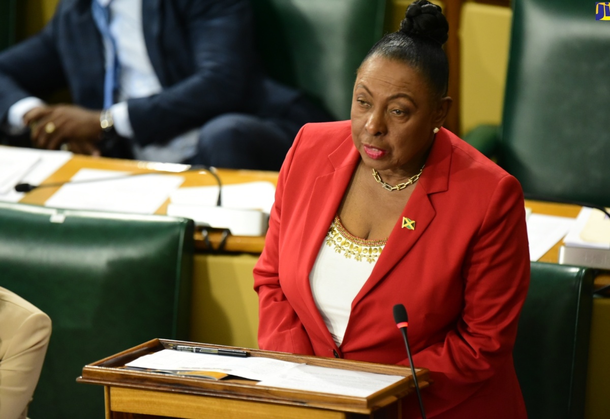 Minister of Culture, Gender, Entertainment and Sport, Hon. Olivia Grange, speaks in the House of Representatives on Tuesday (December 19).


