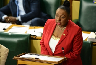 Minister of Culture, Gender, Entertainment and Sport, Hon. Olivia Grange, speaks in the House of Representatives on Tuesday (December 19).

