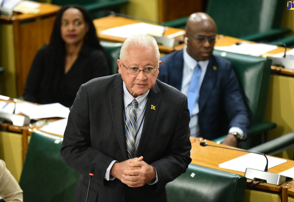 Minister of Justice, Hon. Delroy Chuck, speaks in the House of Representatives o December 19.

