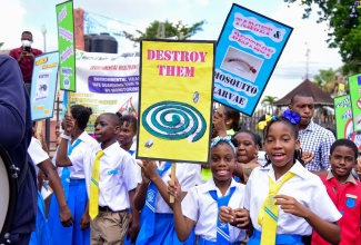 Students of the Mandeville Primary School display placards as they participate in a march and sensitisation session on managing the dengue outbreak. The event, organised by the Manchester Health Department, took place at the  Cecil Charlton Park in Mandeville on December 7.

 