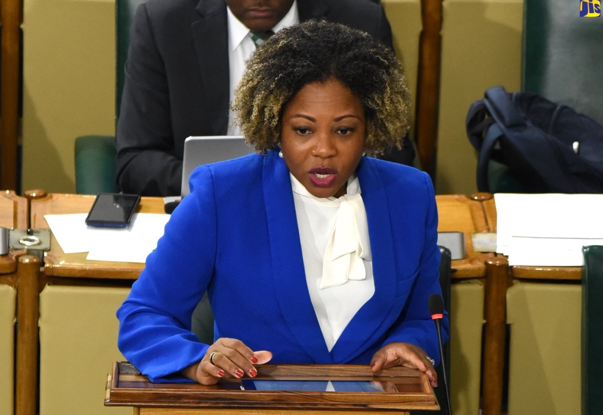 Minister without Portfolio in the Office of the Prime Minister with oversight for Skills and Digital Transformation, Senator Dr. the Hon. Dana Morris Dixon, speaks in the Senate on Friday (December 8).