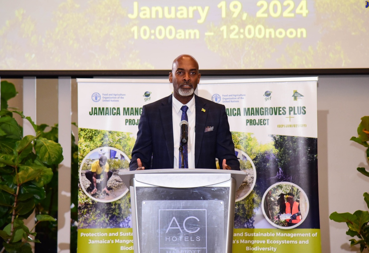 Chief Executive Officer of the Forestry Department and Conservator of Forests, Ainsley Henry, addresses Friday’s (January 19) launch of the Jamaica Mangroves Plus Project at the AC Hotel in Kingston.

 