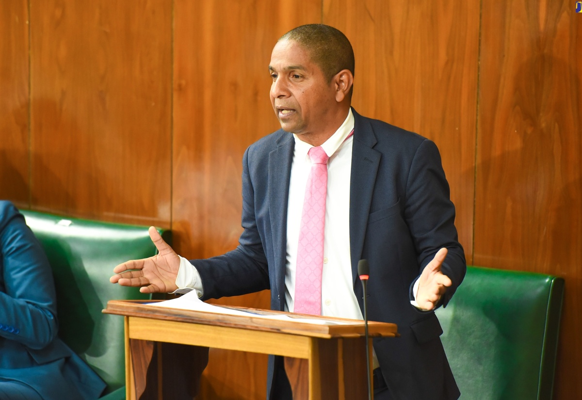 Government Senator and Mayor of Kingston, Senator Councillor Delroy Williams, making his contribution to the State of the Nation Debate in the Senate, on January 26.

