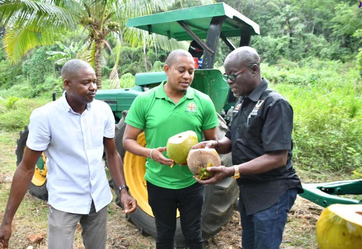 Agriculture Ministry to Establish Storage Facilities Across the Island