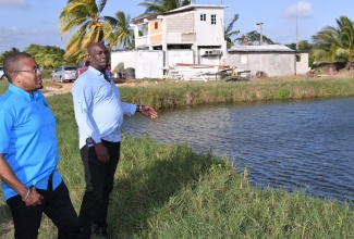 Minister of Agriculture, Fisheries and Mining, Hon. Floyd Green (left), and Principal Director for Field Services at the Rural Agricultural Development Authority (RADA), Collin Henry, look at a fishpond in Bushy Park, St. Catherine, by during a tour of farms in the area on January 10.