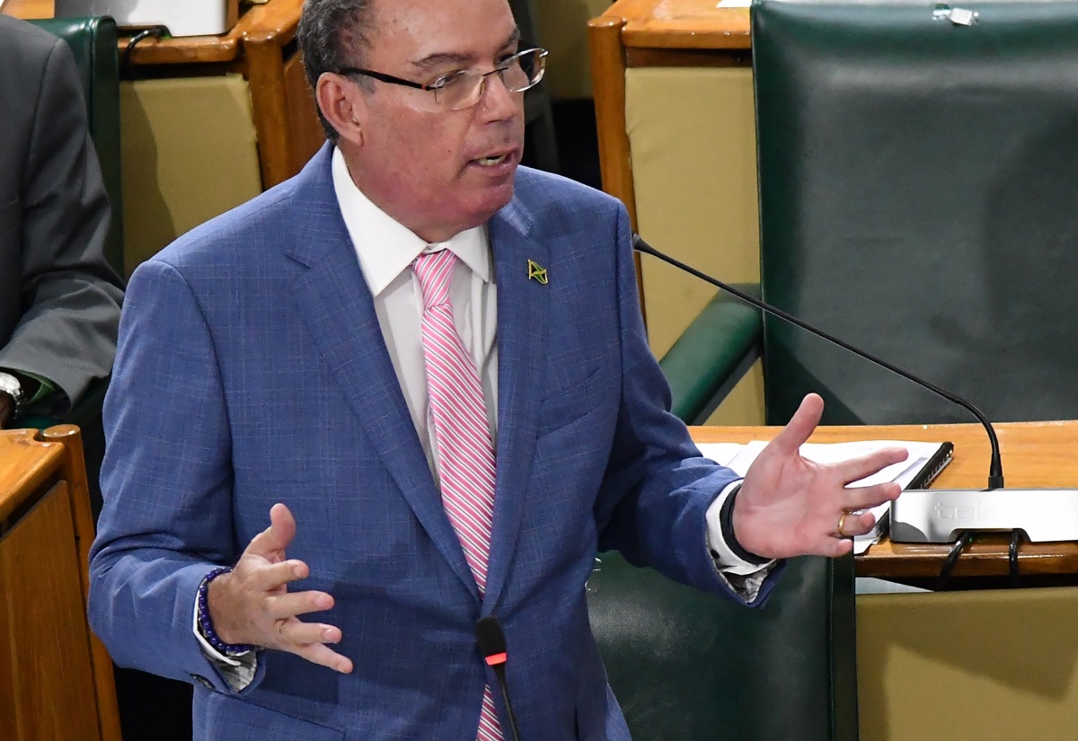 Minister of Science, Energy, Telecommunications and Transport, Hon. Daryl Vaz, making a statement in the House of Representatives on January 30.

