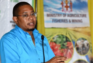 Ministry of Agriculture, Fisheries and Mining, Hon. Floyd Green, makes a presentation during a stakeholder engagement session for the Ministry’s ‘New FACE of Food’ campaign. The session, which was the first such to be held this year, took place in Old Harbour, St. Catherine, on Wednesday (January 10).

