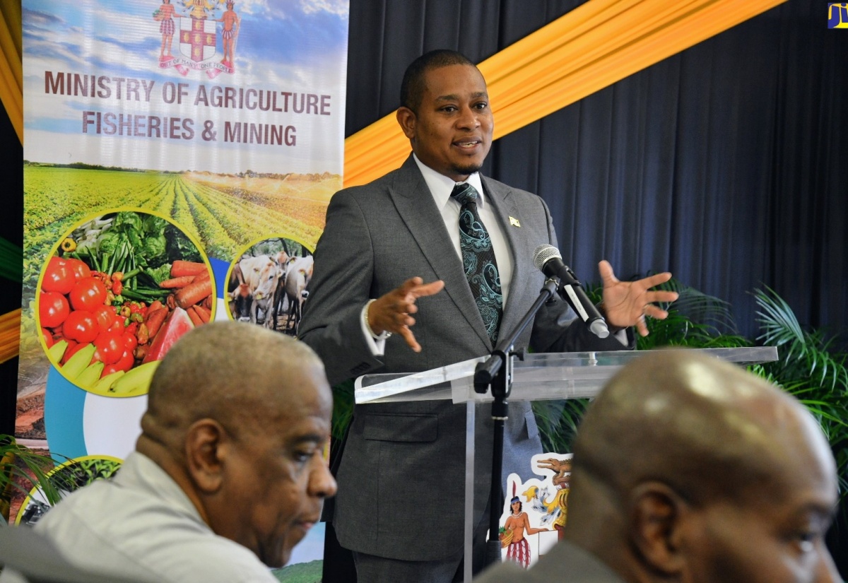 Minister of Agriculture, Fisheries and Mining, Hon. Floyd Green, speaking during a press briefing at the Ministry’s offices in Kingston on Wednesday (January 31). Seated (at left) is State Minister in the Ministry, Hon. Franklyn Witter.

