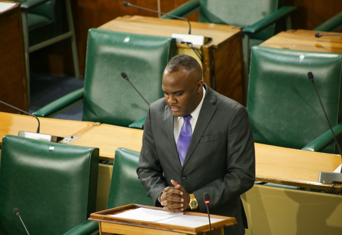 Government Senator, Abka Fitz-Henley. 