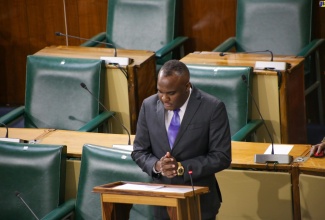 Government Senator, Abka Fitz-Henley, addressing the sitting of the Senate on February 2

