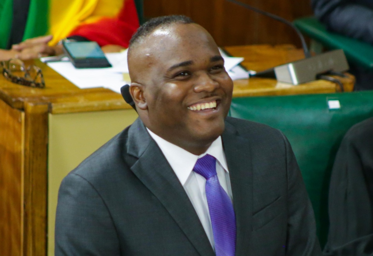 Government Senator, Abka Fitz-Henley, addresses the Senate on February 2. 

