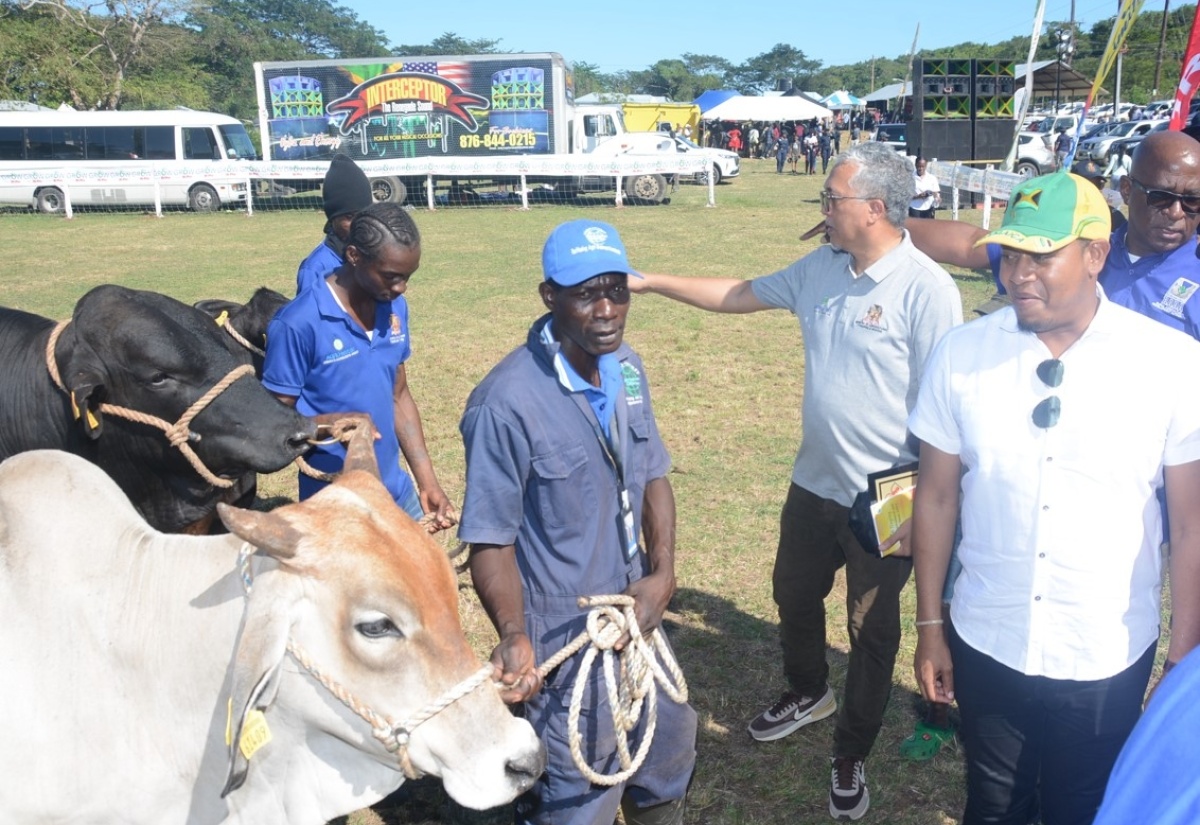 Minister of Agriculture, Fisheries and Mining, Hon. Floyd Green, tours the showgrounds during the 67th staging of the Hague Agricultural and Industrial Show in Trelawny, on Ash Wednesday (February 14).