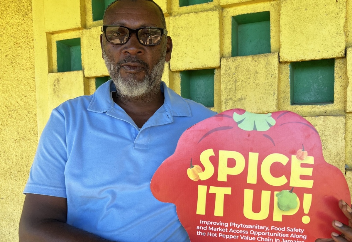 President of the Walkerswood Farmers Group in St. Ann, Oral Salve, was one of the beneficiaries of the Food and Agriculture Organization’s hot pepper pest surveillance training.

