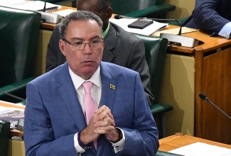 Minister of Science, Energy, Telecommunications and Transport, Hon. Daryl Vaz, addresses the House of Representatives on January 30.


