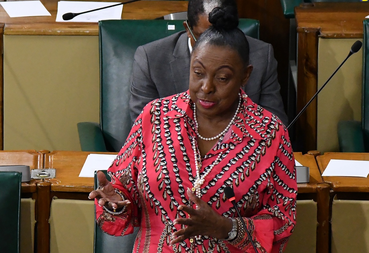 Minister of Culture, Gender, Entertainment and Sport, Hon. Olivia Grange, speaks in the House of Representatives, on Tuesday (February 6).

