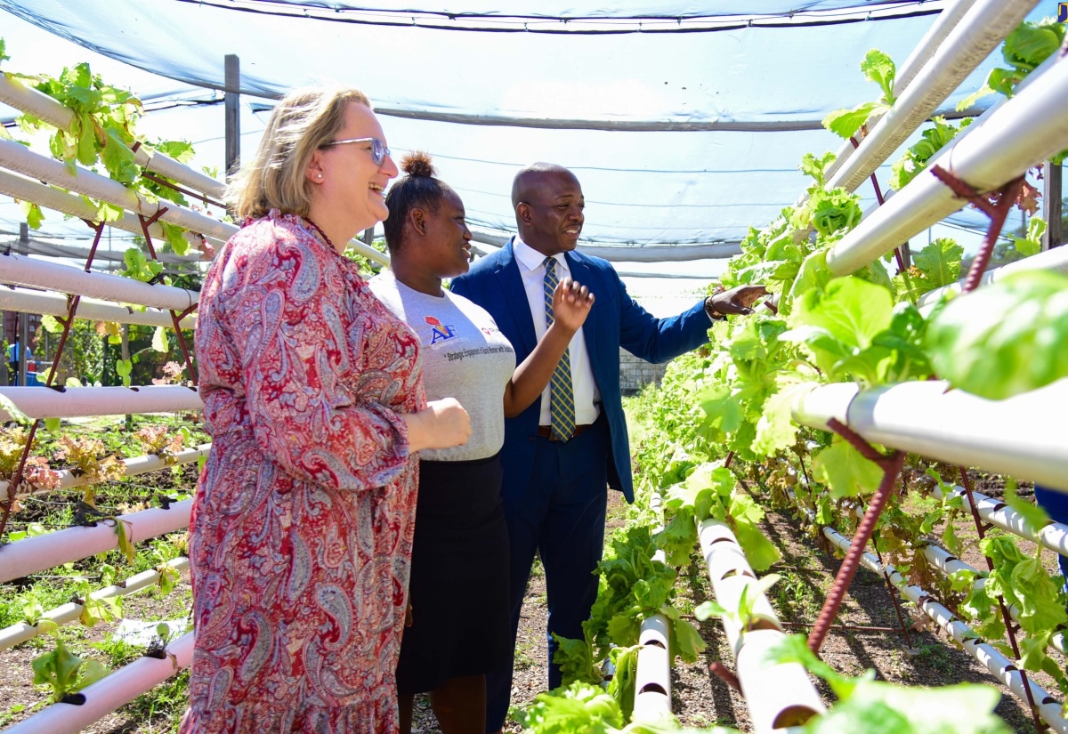 Minister of Labour and Social Security, Hon. Pearnel Charles Jr. (right), interacts with Canada’s High Commissioner to Jamaica, Her Excellency Emina Tudakovic (left), and Tanisha Gaynor, a beneficiary of the Strategic Engagement of Rural Woman with Disabilities in Sustainable Farming Techniques Project, about the hydroponics growing system during the programme’s closing-out ceremony at the Abilities Foundation in St. Andrew on Tuesday (February 27).