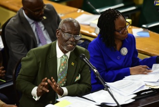 Minister of Local Government and Community Development, Hon. Desmond McKenzie, responds to questions from members of the Standing Finance Committee of the House, who are currently reviewing the 2024/25 Estimates of Expenditure, during Wednesday’s (March 6) sitting. At right is Permanent Secretary in the Ministry, Marsha Henry Martin.

