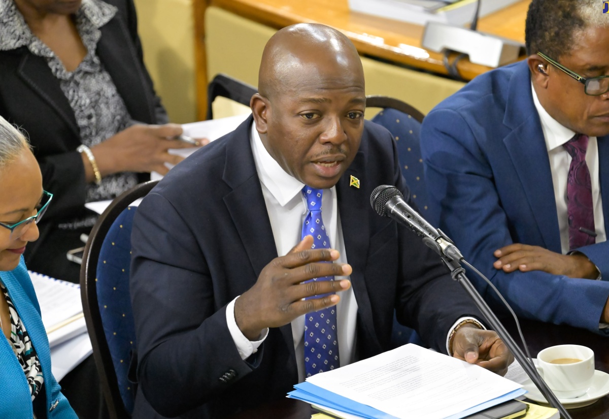 Minister of Labour and Social Security, Hon. Pearnel Charles Jr. (centre), addresses the sitting of the Standing Finance Committee on Wednesday (March 6) at Gordon House. Others (from left) are Permanent Secretary in the Ministry, Colette Roberts Risden and State Minister, Dr. the Hon. Norman Dunn.

