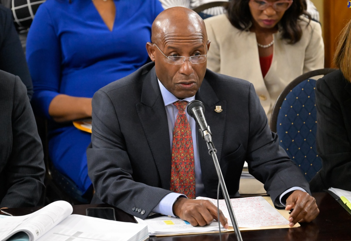 Minister of Industry, Investment and Commerce, Senator the Hon. Aubyn Hill, addresses the Standing Finance Committee of the House of Representatives on March 6.

