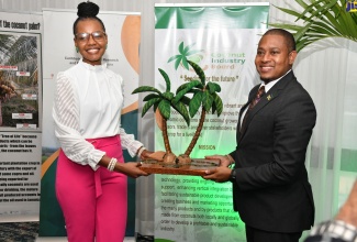 Minister of Agriculture, Fisheries and Mining, Hon. Floyd Green (right), accepts a sculpture of coconut trees from Coconut Technician/Project Coordinator, Caribbean Agricultural Research and Development Institute (CARDI), Desireina Delancy, at the opening of the regional training workshop on Sustainable and Resilient Coconut Production within a Changing Climate, held at The Jamaica Pegasus hotel in New Kingston, on Monday (March 4).

