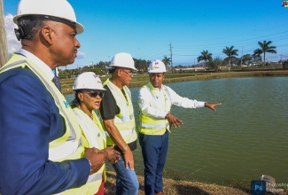 Minister of Agriculture, Fisheries and Mining, Hon. Floyd Green (right), converses with (from left) Managing Director of the Jamaica Social Investment Fund (JSIF), Omar Sweeney; Member of Parliament for St. Catherine Eastern, Denise Daley, and Managing Director of Contraxx Enterprises Limited, Stephen Chung. Occasion was yesterday’s (February 29), ceremony to break ground for a $574-million fish hatchery in Twickenham Park, St. Catherine.

