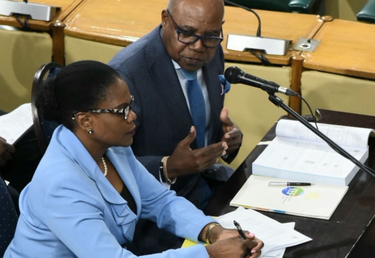 Minister of Tourism, Hon. Edmund Bartlett (right), addresses the Standing Finance Committee of the House of Representatives, today (March 5), at Gordon House. At left is Permanent Secretary in the Ministry, Jennifer Griffith.

