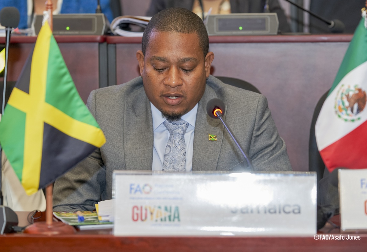 Minister of Agriculture, Fisheries and Mining, Hon. Floyd Green, speaks at the Ministerial Round Table for the FAO four-day regional conference on Blue Transformation, in Guyana, on March 19.