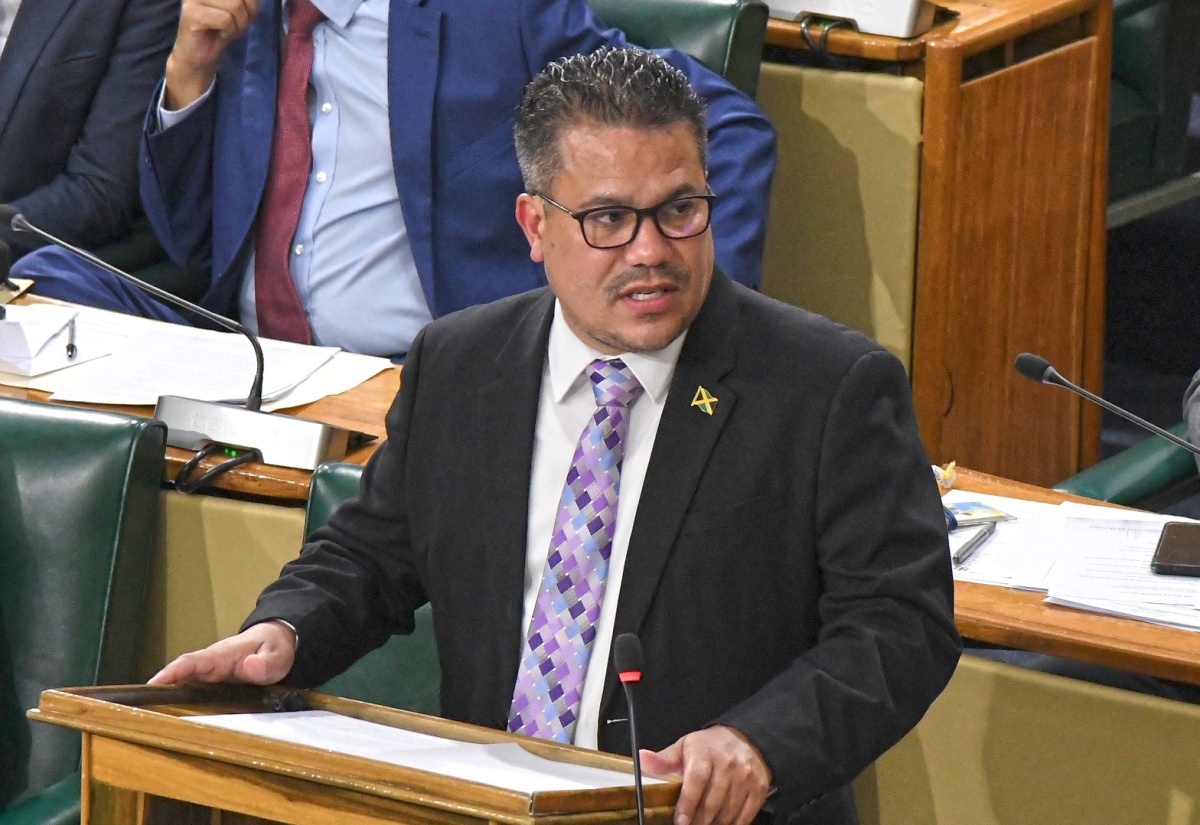 Minister without Portfolio in the Ministry of Economic Growth and Job Creation, Senator the Hon. Matthew Samuda.