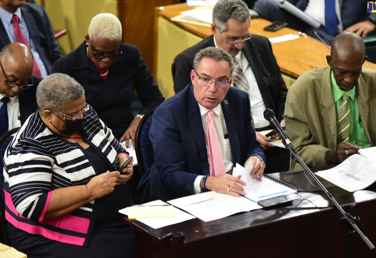 Minister of Science, Energy, Telecommunications and Transport, Hon. Daryl Vaz (centre), addresses the Standing Finance Committee in the House of Representatives on March 5. The Minister is flanked by Permanent Secretary in the Ministry, Carol Palmer (left) and State Minister, Hon. J.C. Hutchinson (right). 