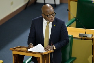 Minister of Labour and Social Security, Hon. Pearnel Charles Jr., addresses the House of Representatives on Tuesday (April 23).