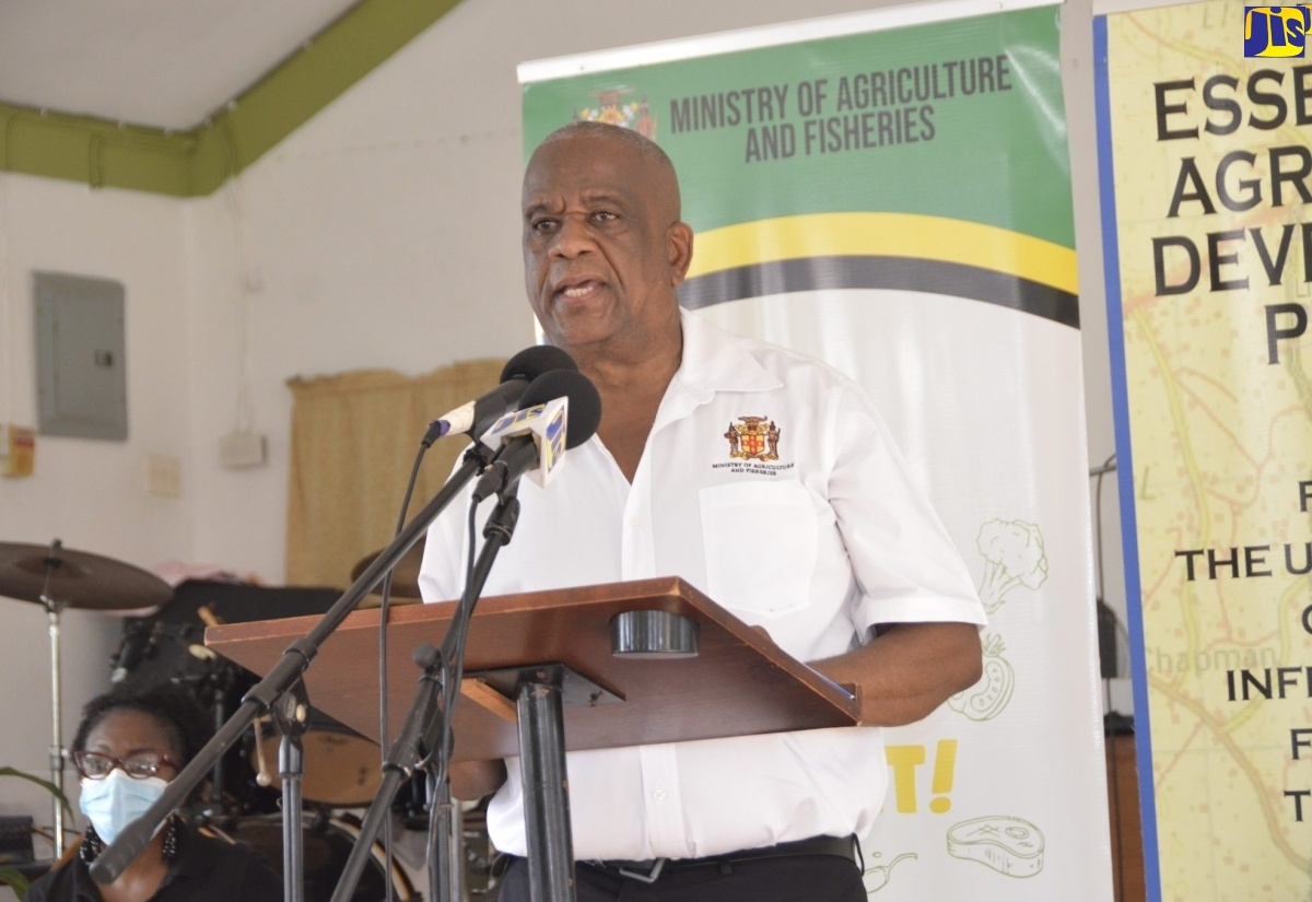 Minister of State in the Ministry of Agriculture, Fisheries and Mining, Hon. Franklin Witter.
