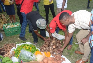 Mayor of Montego Bay and Chairman of the St. James Municipal Corporation, Councillor Richard Vernon (right), inspects produce on display during the 41st Montpelier Agricultural and Industrial Show on Easter Monday (April 1). The event was held at the Montpelier Show Ground in St. James.

