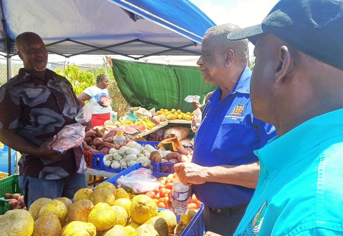 Minister of State in the Ministry of Agriculture, Fisheries and Mining, Hon. Franklin Witter (second right), and Parish Manager for the Rural Agricultural Development Authority (RADA), St. Ann, Delroy Luke (right), converse with farmer Hector White (left), during the 10th staging of the St. Ann Agricultural, Industrial and Food Show, which was held at the Port Rhoades Sports Complex in Discovery Bay, St. Ann, on April 26.