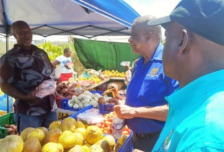 Minister of State in the Ministry of Agriculture, Fisheries and Mining, Hon. Franklin Witter (second right), and Parish Manager for the Rural Agricultural Development Authority (RADA), St. Ann, Delroy Luke (right), converse with farmer Hector White (left), during the 10th staging of the St. Ann Agricultural, Industrial and Food Show, which was held at the Port Rhoades Sports Complex in Discovery Bay, St. Ann, on April 26.