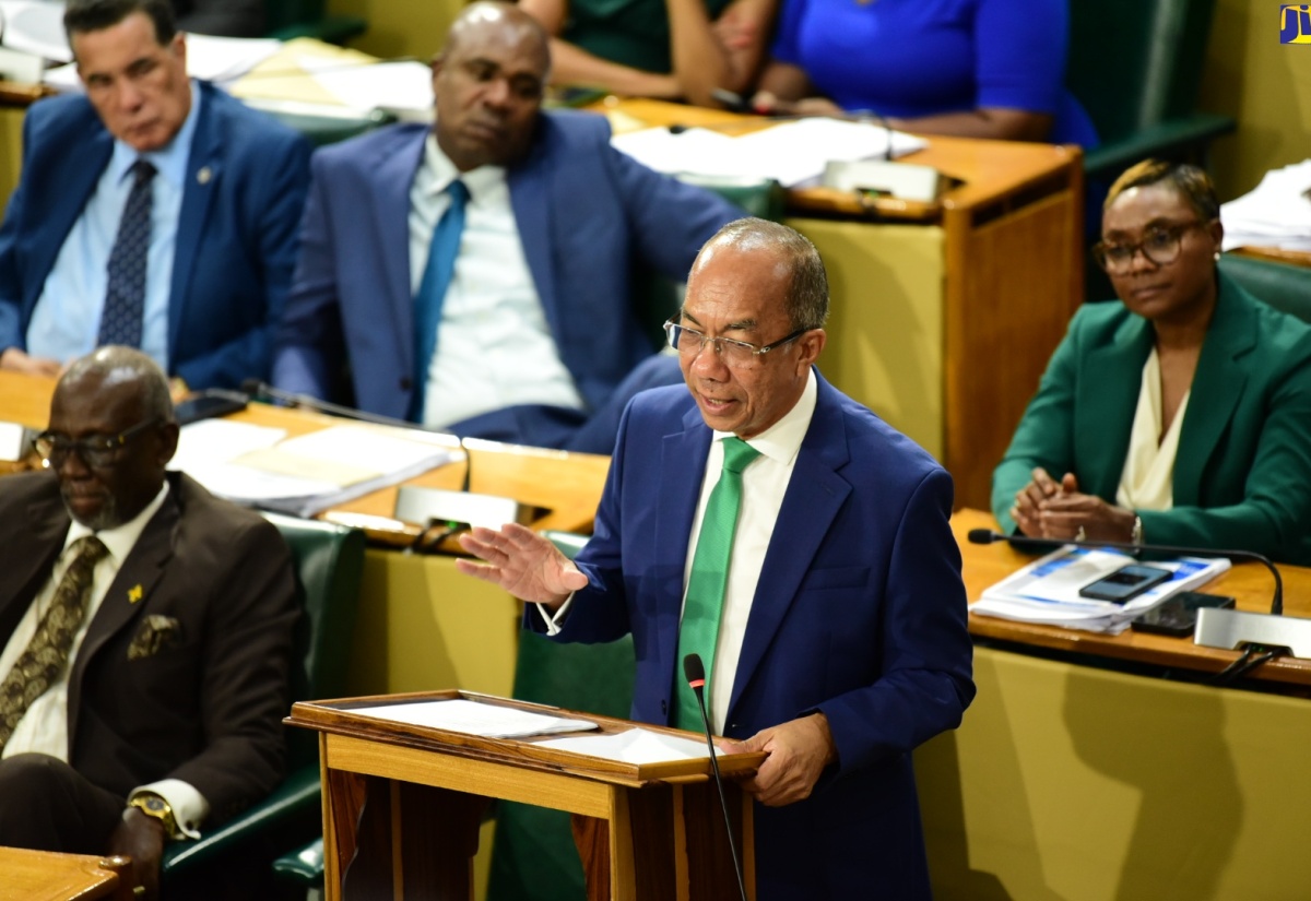 Minister of National Security, Hon. Dr. Horace Chang, makes his contribution to the 2024/25 Sectoral Debate in the House of Representatives on Tuesday (May 14).