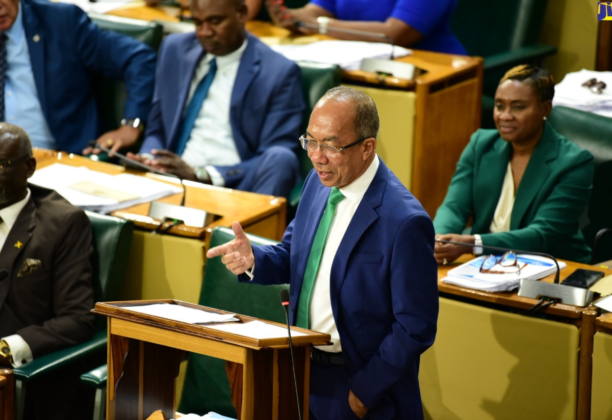 Minister of National Security, Hon. Dr. Horace Chang, makes his contribution to the 2024/2025 Sectoral Debate in the House of Representatives, on Tuesday (May 14). Seated behind Dr. Chang is the Minister of State in the Ministry, Hon. Juliet Cuthbert-Flynn.

