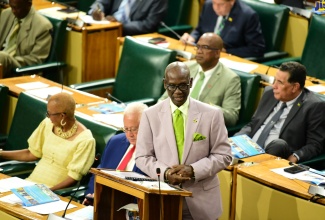 Minister of Local Government and Community Development, Hon. Desmond McKenzie, making his contribution to the 2024/25 Sectoral Debate in the House of Representatives on May 28.


