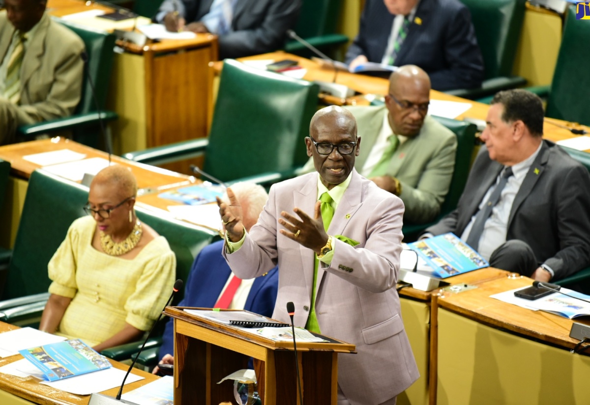 Minister of Local Government and Community Development, Hon. Desmond McKenzie, outlines how the Board of Supervision has impacted the lives of homeless persons, during his contribution to the 2024/2025 Sectoral Debate in the House of Representatives, on Tuesday (May 28).