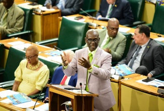 Minister of Local Government and Community Development, Hon. Desmond McKenzie, emphasises a point while making his contribution to the 2024/25 Sectoral Debate in the House of Representatives on May 28.