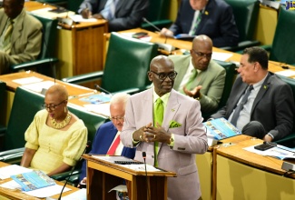 Minister of Local Government and Community Development, Hon. Desmond McKenzie, makes his contribution to the 2024/25 Sectoral Debate in the House of Representatives on Tuesday (May 28).