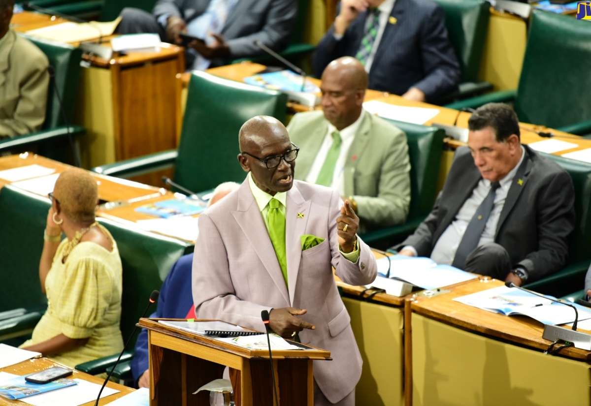 Minister of Local Government and Community Development, Hon. Desmond McKenzie, makes his contribution to the 2024/25 Sectoral Debate in the House of Representatives on Tuesday (May 28).