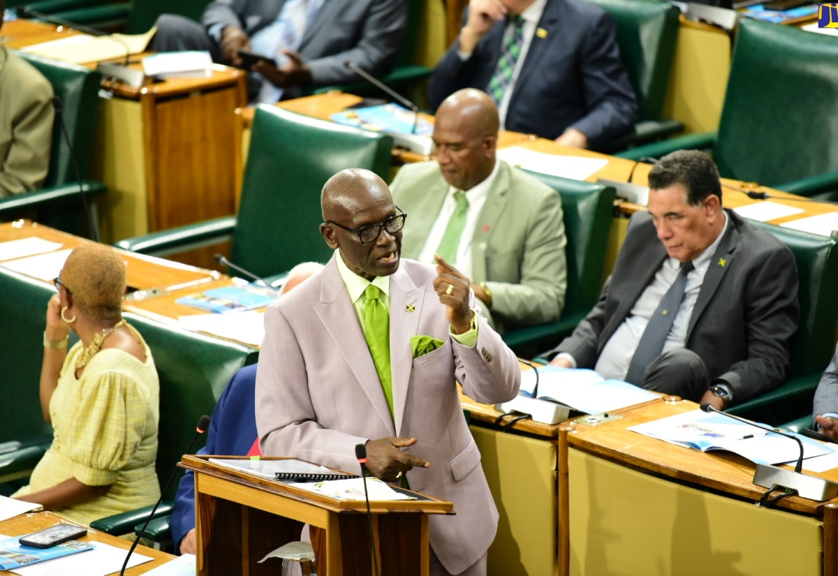 Minister of Local Government and Community Development, Hon. Desmond McKenzie, makes his contribution to the 2024/25 Sectoral Debate in the House of Representatives on May 28.