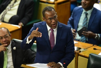Minister of Finance and the Public Service, Dr. the Hon. Nigel Clarke, speaks in the House of Representatives recently.