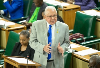 Minister of Justice, Hon. Delroy Chuck, making his contribution to the 2024/25 Sectoral Debate in the House of Representatives, recently.

