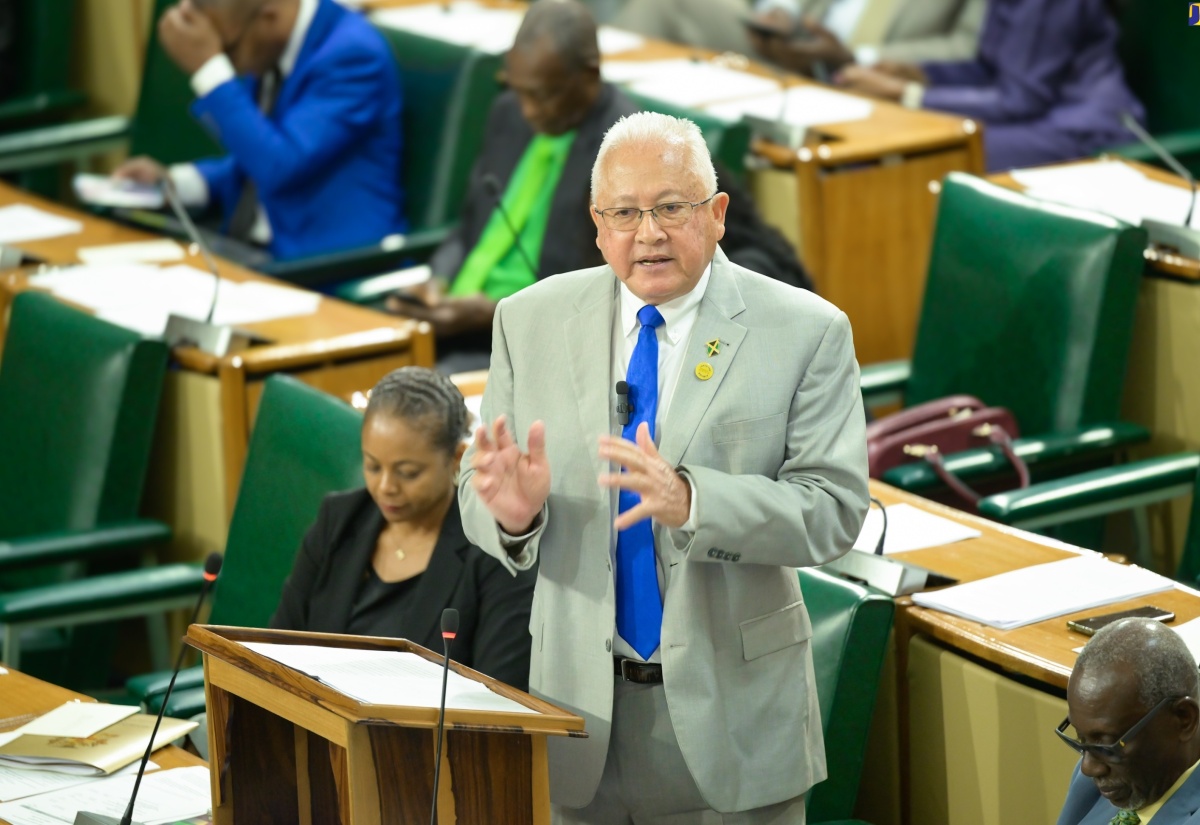 Minister of Justice, Hon. Delroy Chuck, makes his contribution to the 2024/2025 Sectoral Debate in the House of Representatives on Tuesday (May 21).

