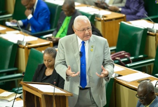 Minister of Justice, Hon. Delroy Chuck, makes his contribution to the 2024/25 Sectoral Debate in the House of Representatives recently.