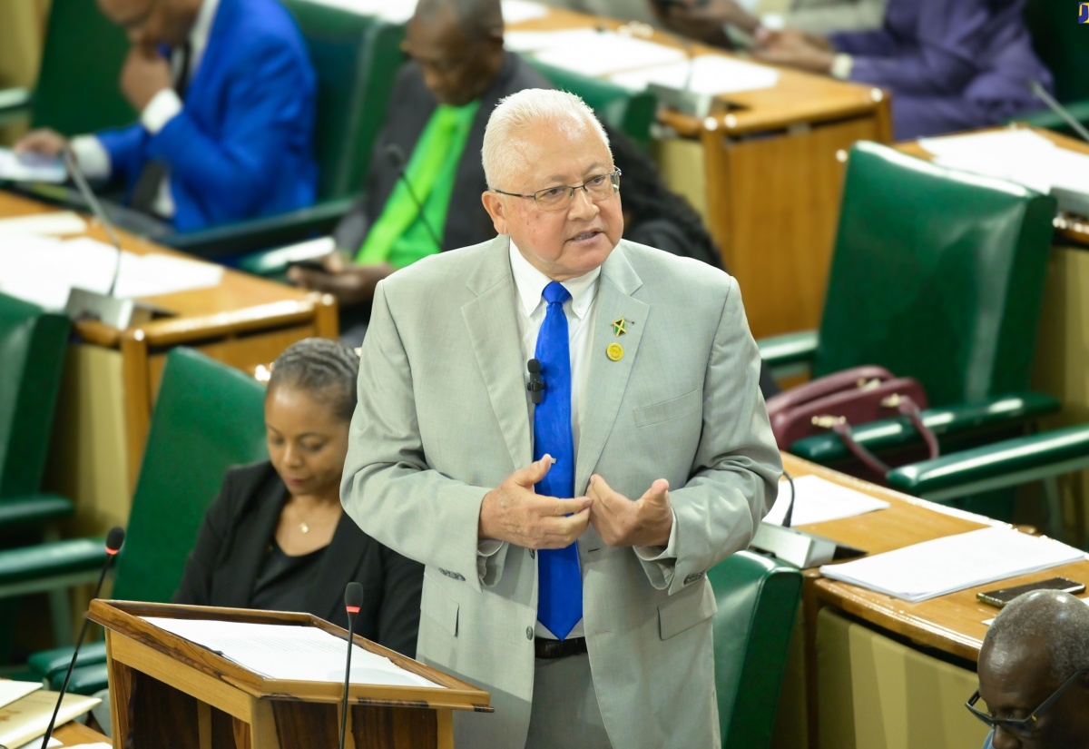 Minister of Justice, Hon. Delroy Chuck, speaks in the 2024/2025 Sectoral Debate in the House of Representatives on Tuesday (May 21).

