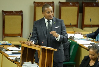 Minister of Agriculture, Fisheries and Mining, Hon. Floyd Green, makes his contribution to the 2024/25  Sectoral Debate in the House of Representatives on May 21.

