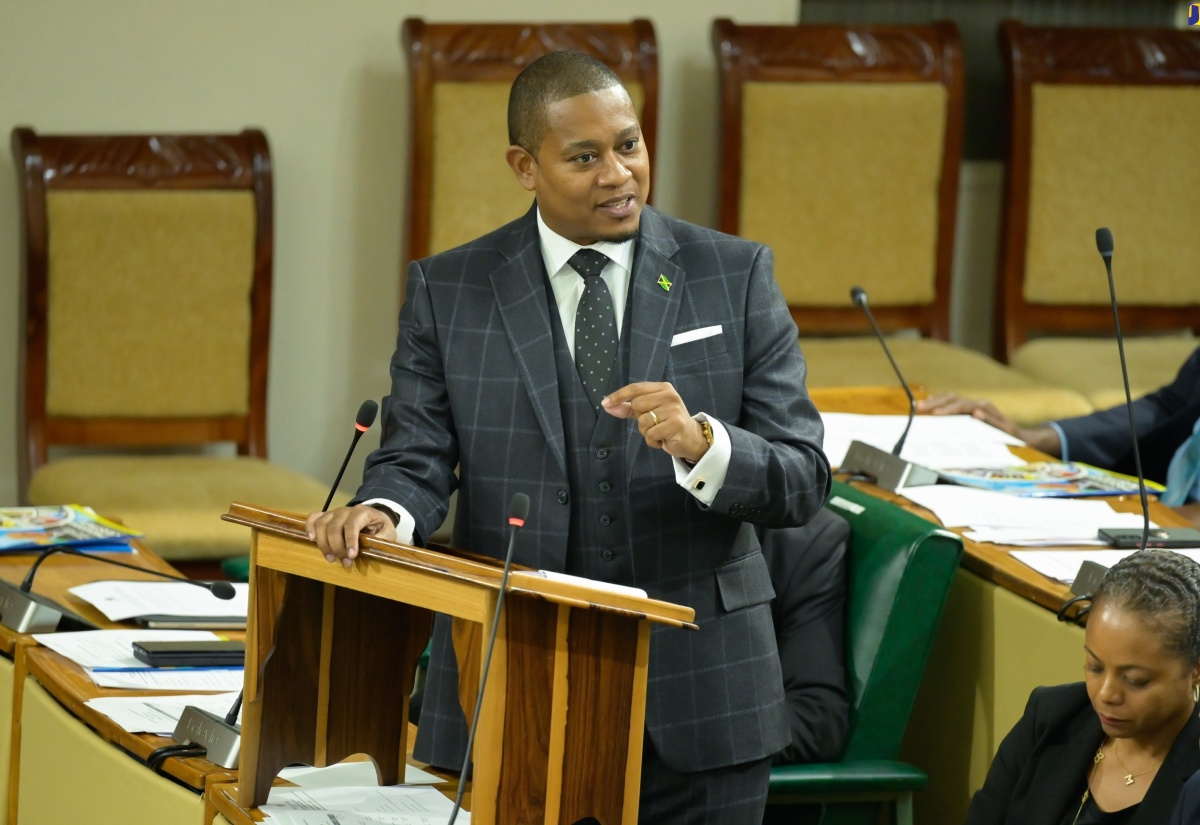 Minister of Agriculture, Fisheries and Mining, Hon. Floyd Green, makes his 2024/25 Sectoral Debate presentation in the House of Representatives on Tuesday (May 21).